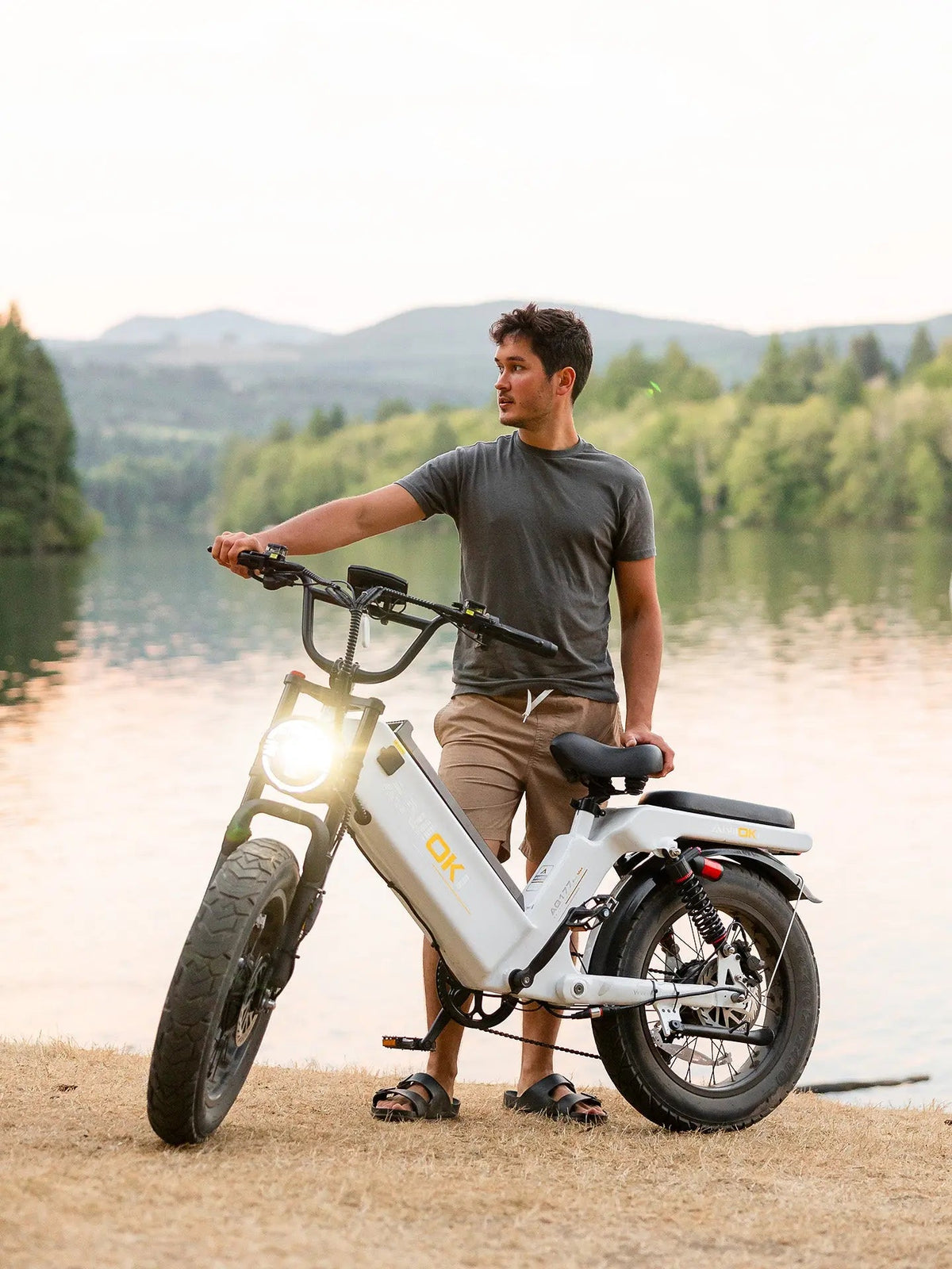 AQ177 Pro Max Dual Motor eBike