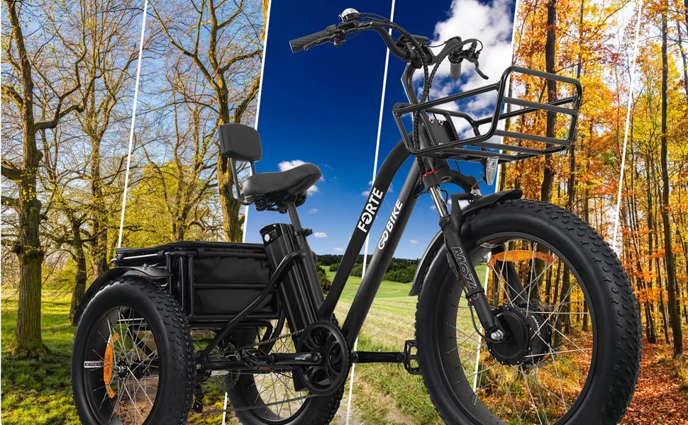Electric Trike for Adults, 3 Wheel Motorized Bicycle, Long Range Adult Tricycle, Black