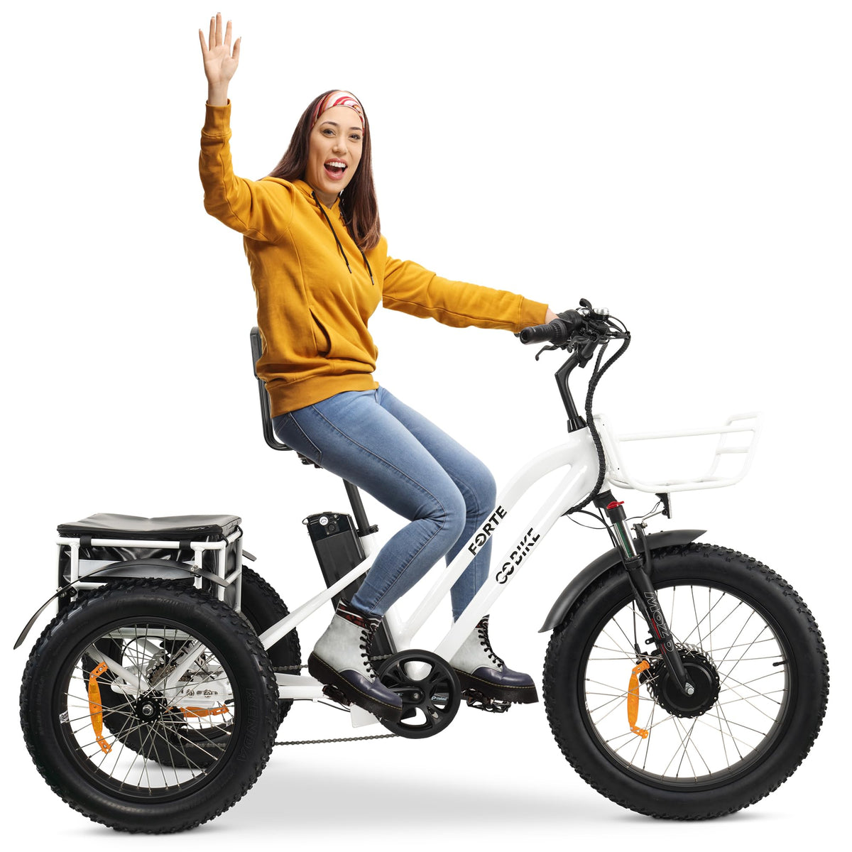 Electric Trike for Adults, 3 Wheel Motorized Bicycle, Long Range Adult Tricycle, Black