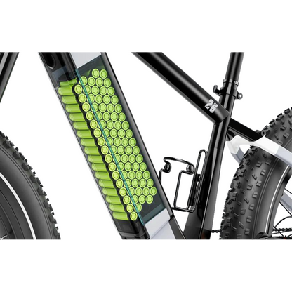 HeyBike Brawn