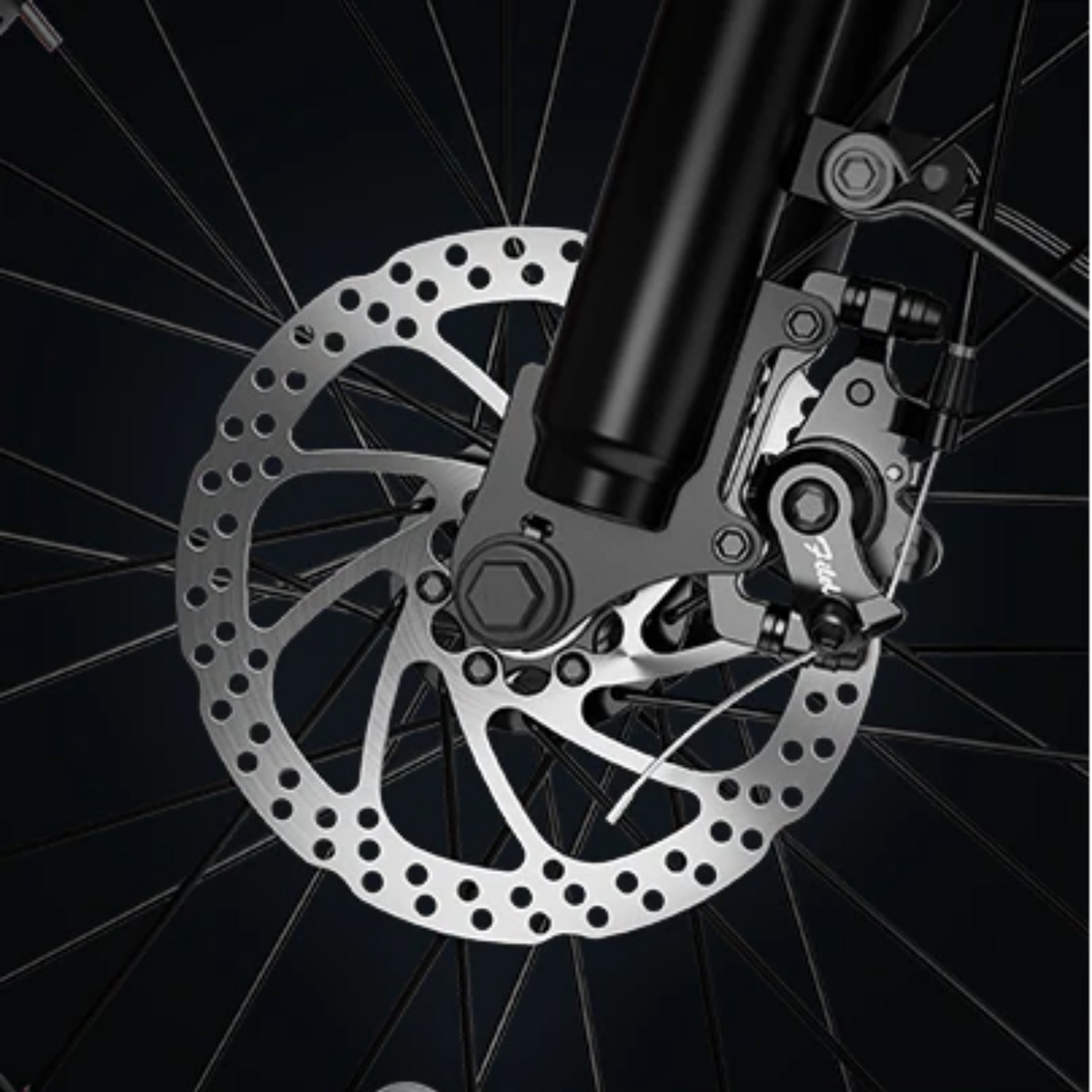 HeyBike Mars 2.0