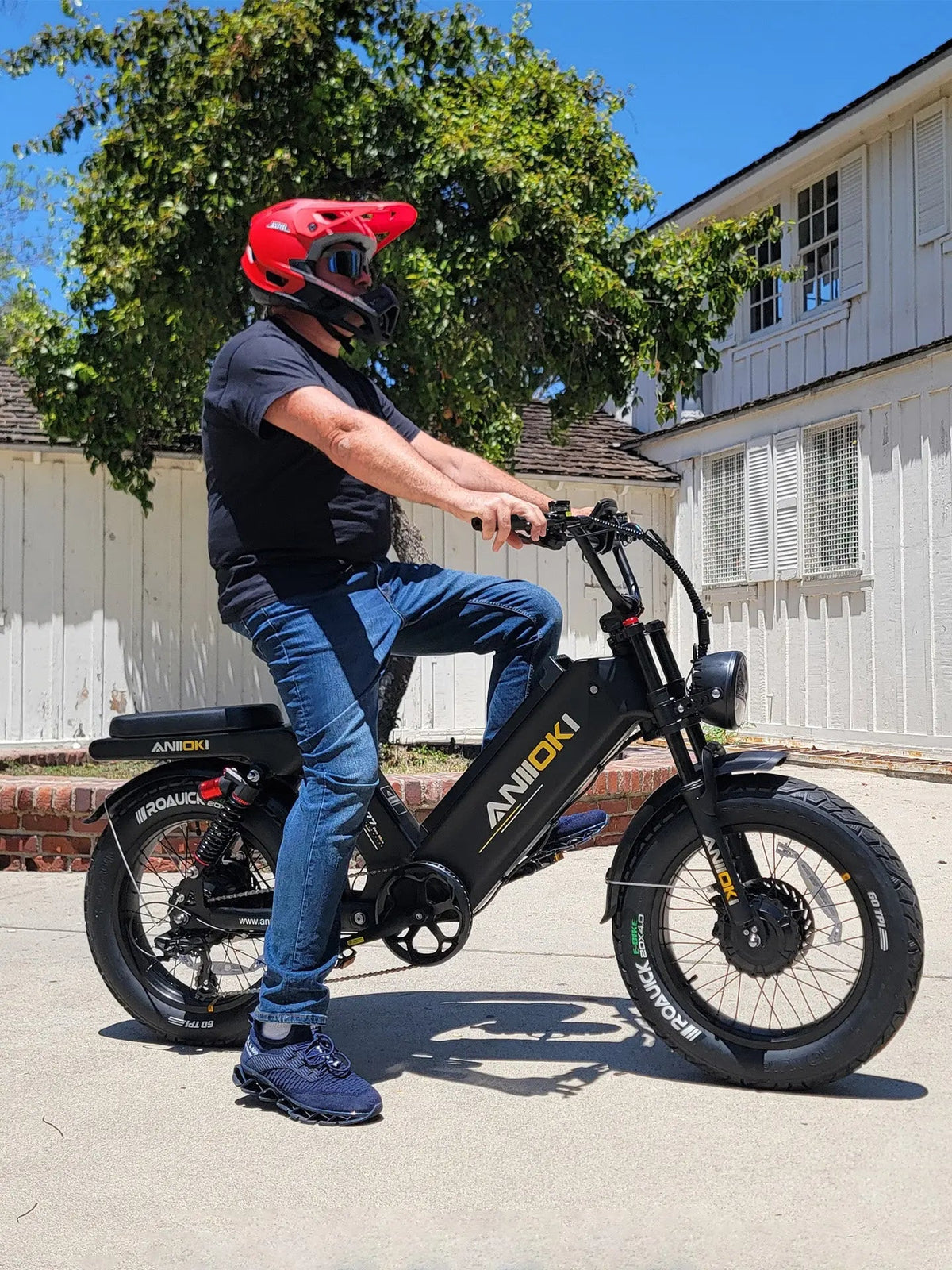 AQ177 Pro Max Dual Motor eBike